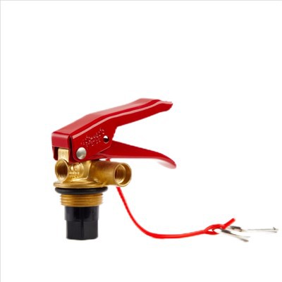 Bình chữa cháy 1kg